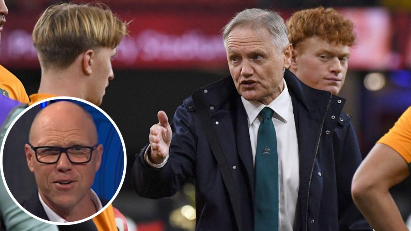 Jeff Wilson and Joe Schmidt image