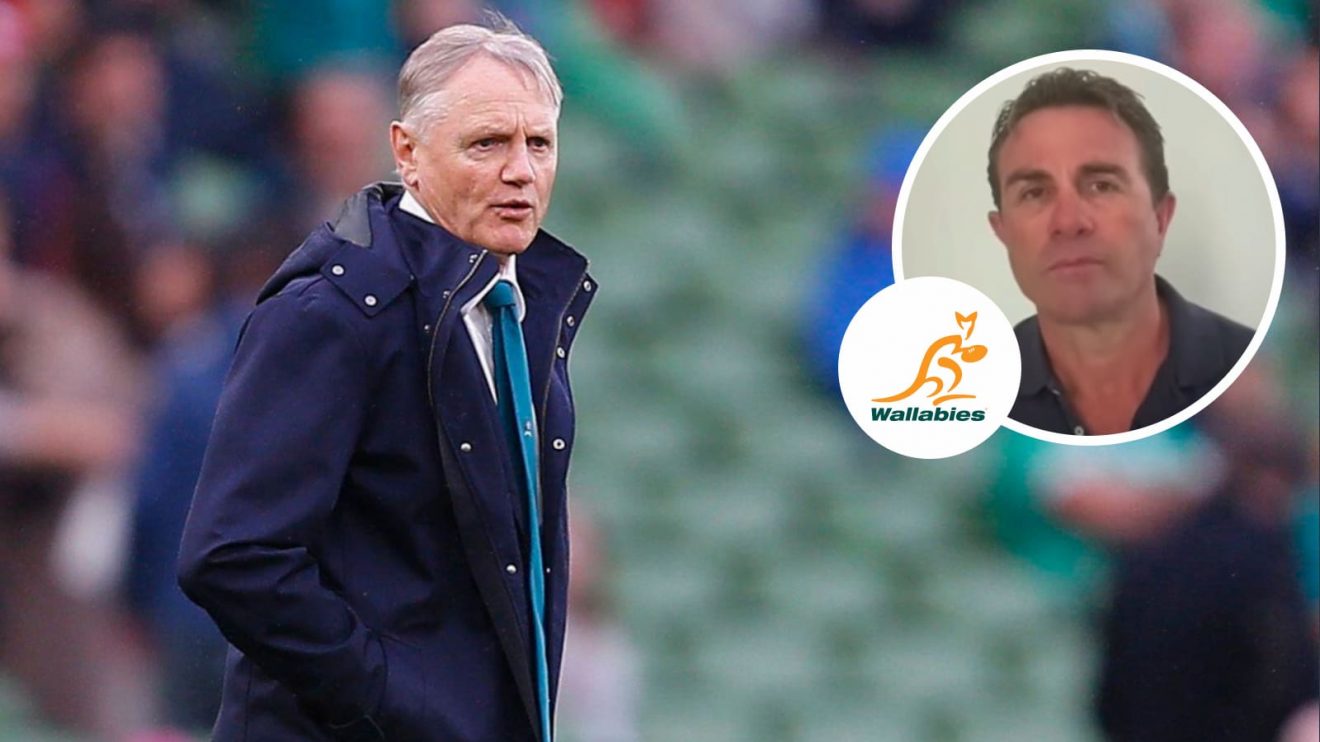 Wallabies head coach Joe Schmidt and former All Blacks star Justin Marshall (inset).