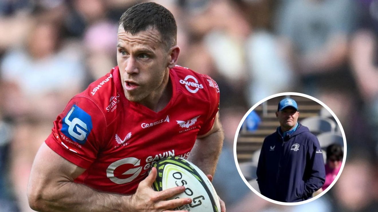 Gareth Davies scored for Scarlets against Leinster.