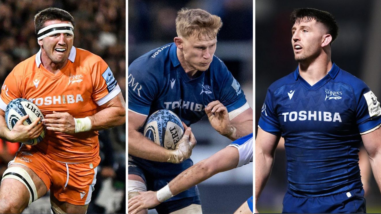 A three panel image of Tom Curry, Jeal-Luc du Preez and Ben Curry