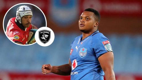 Exclusive: Sharks raid Bulls to sign highly-rated forward to fill Springboks front-rower’s void
