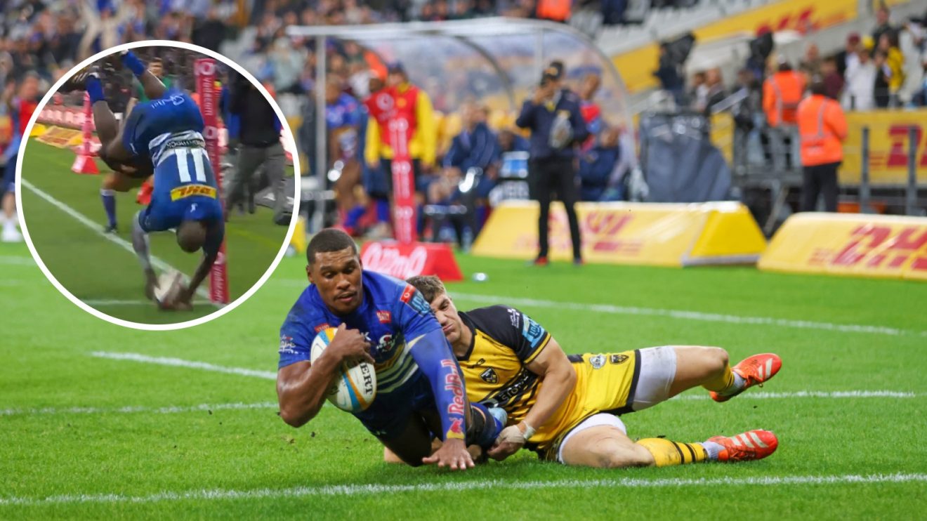 Stormers player ratings: Damian Willemse celebrates milestone in style as hosts fight off determined Dragons