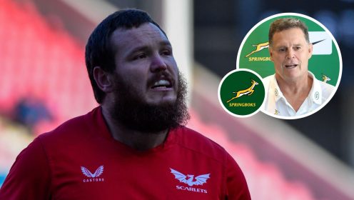 ‘Signing of the season’ hopes Springboks boss Rassie Erasmus will recognise his ‘talent’