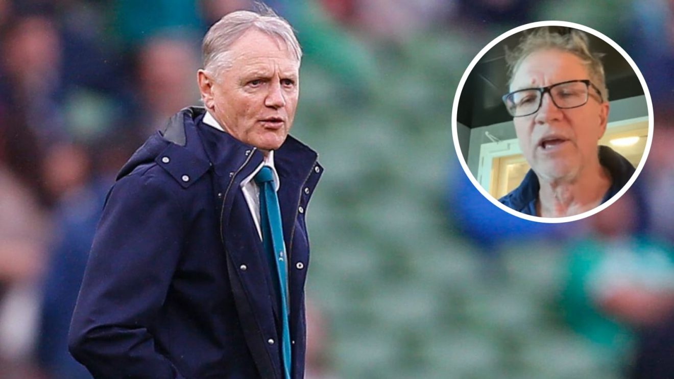 Wallabies head coach Joe Schmidt and former Australia international Greg Martin (inset).