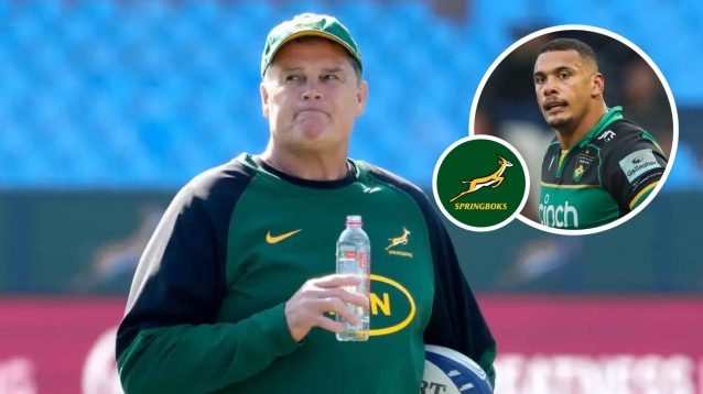 Springboks ‘on the right track’ as Rassie Erasmus delivers verdict on newbies and alignment camps