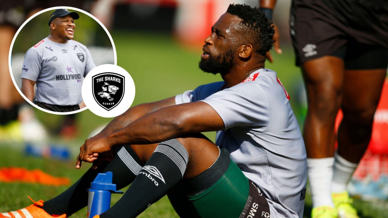 Sharks player ratings: Springboks veteran has an 'absolute mare' while Hendrikse brothers fail to connect