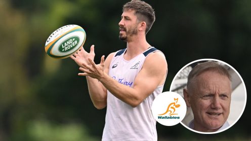New Wallabies captain set to be appointed by Joe Schmidt for British & Irish Lions series – report