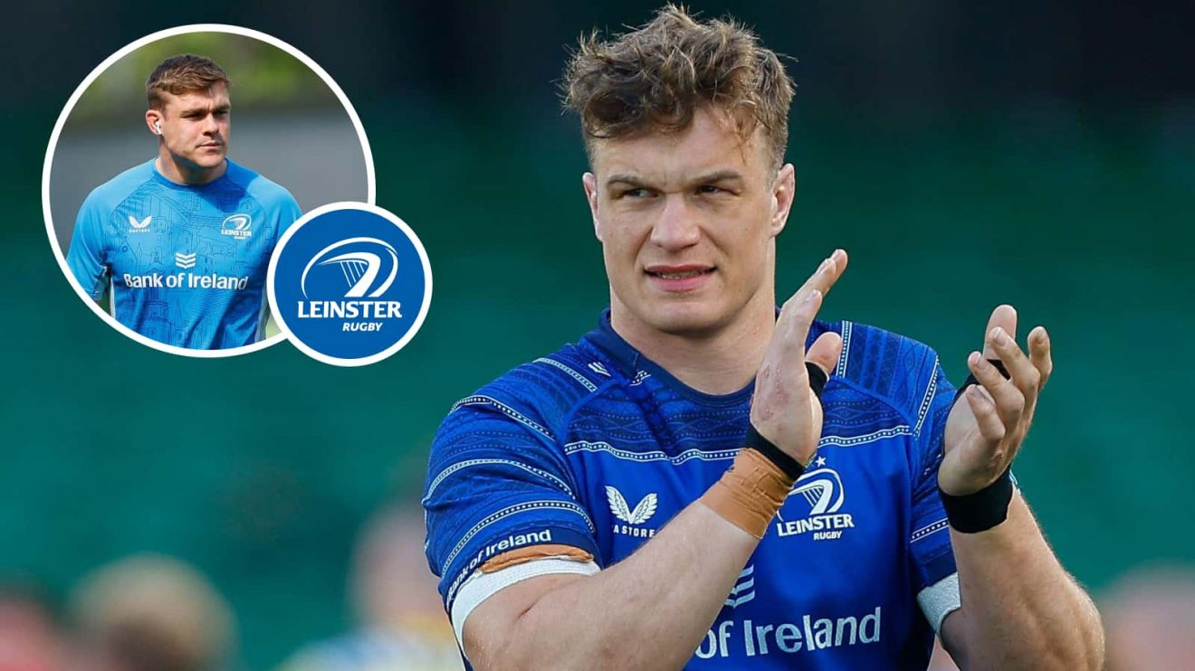 Leinster forward Josh van der Flier and back Garry Ringrose.