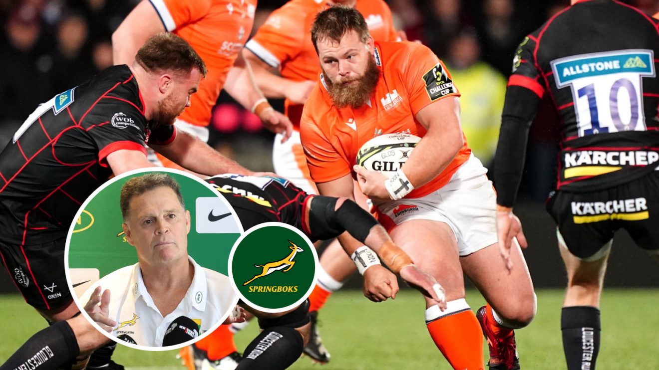 Rassie Erasmus and Boan Venter image