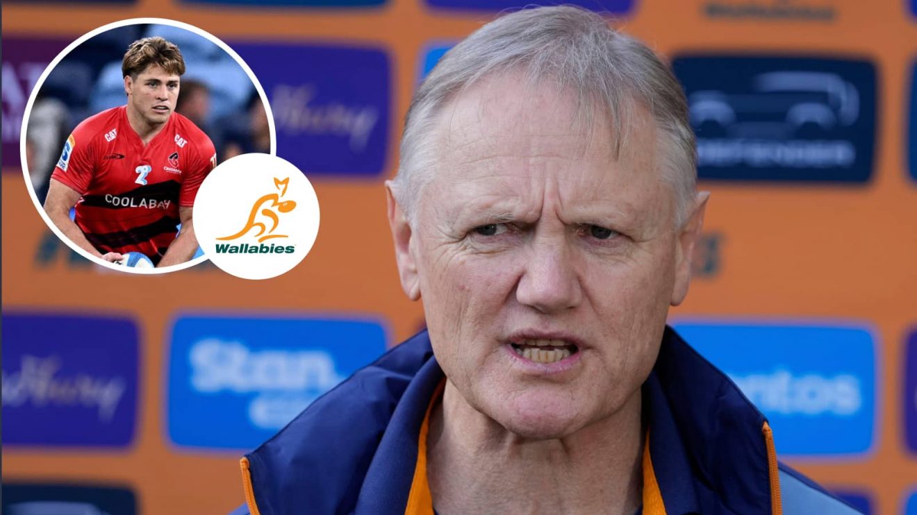 Wallabies head coach Joe Schmidt and an inset of James O'Connor.