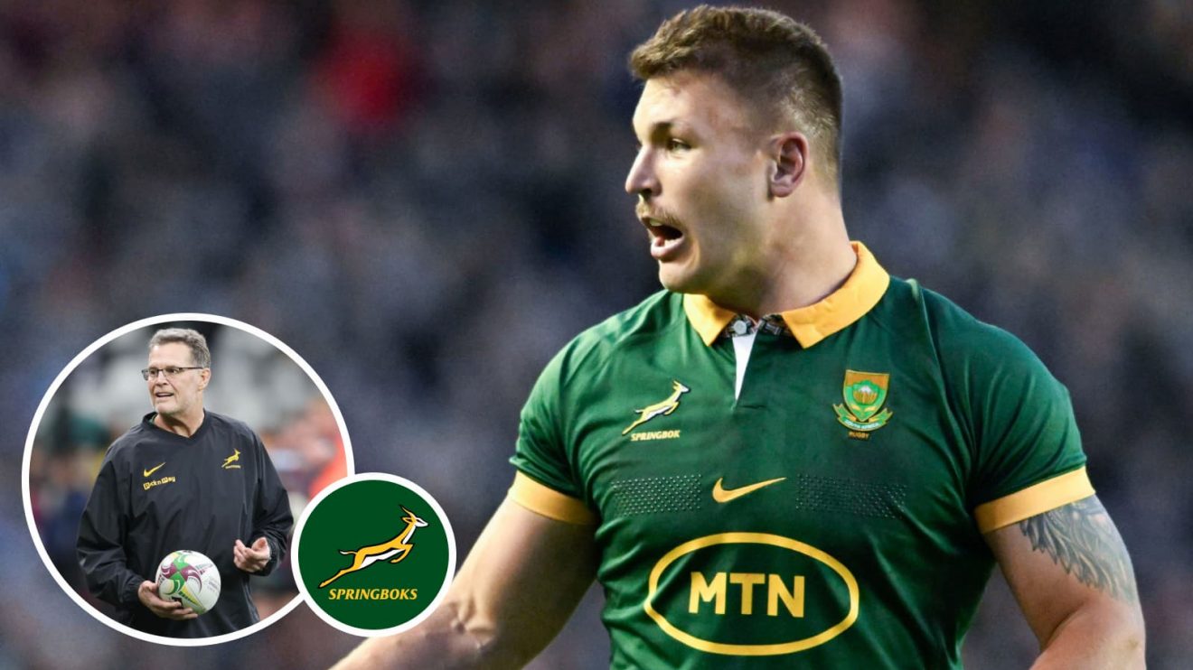 Andre Esterhuizen came on at flanker for the Springboks.