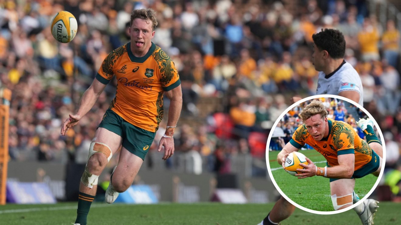 Harry Potter 'disapparates' from the Western Force ahead of Lions tests