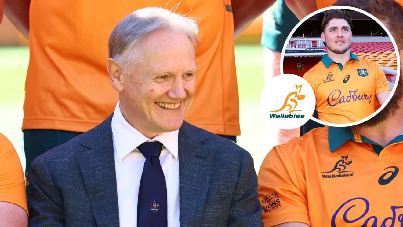 Wallabies head coach Joe Schmidt and James O'Connor.