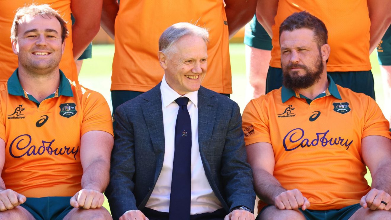 Joe Schmidt Wallabies boss 2025 - Alamy