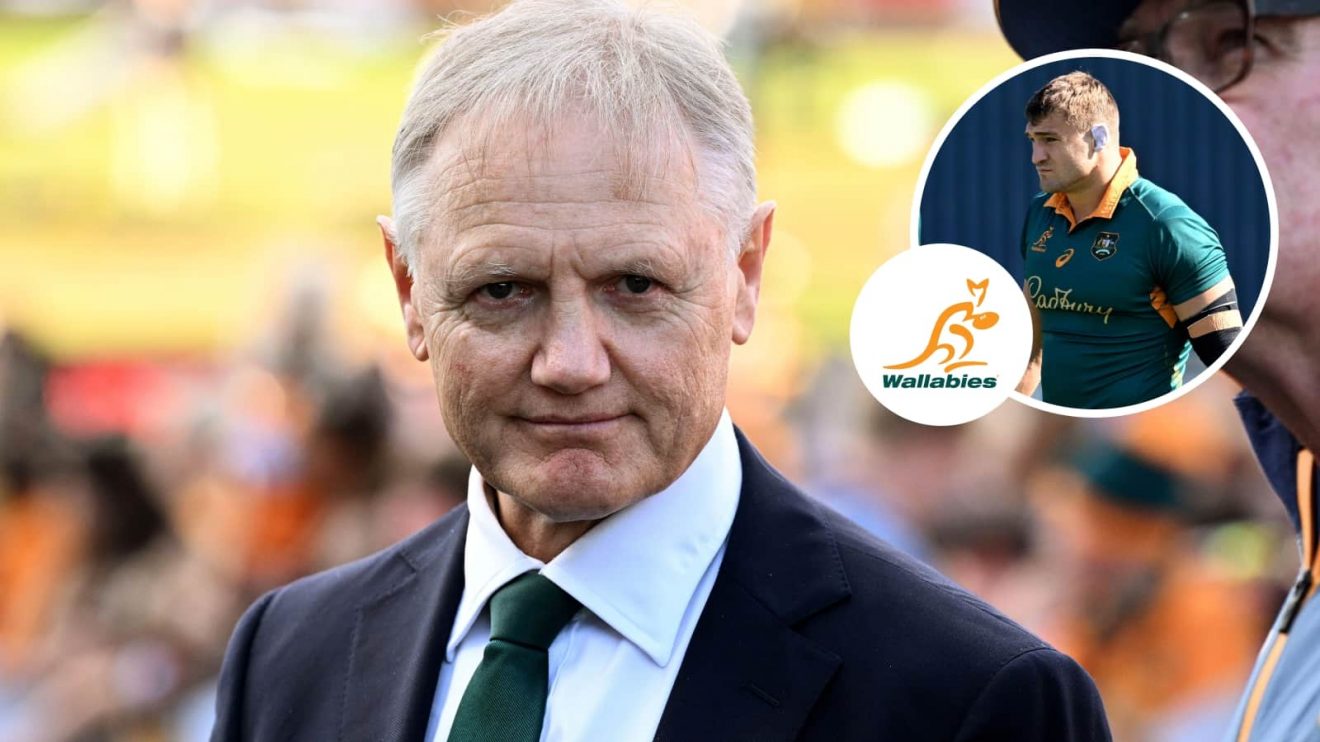 Wallabies head coach Joe Schmidt and an inset of Nick Champion De Crespigny.