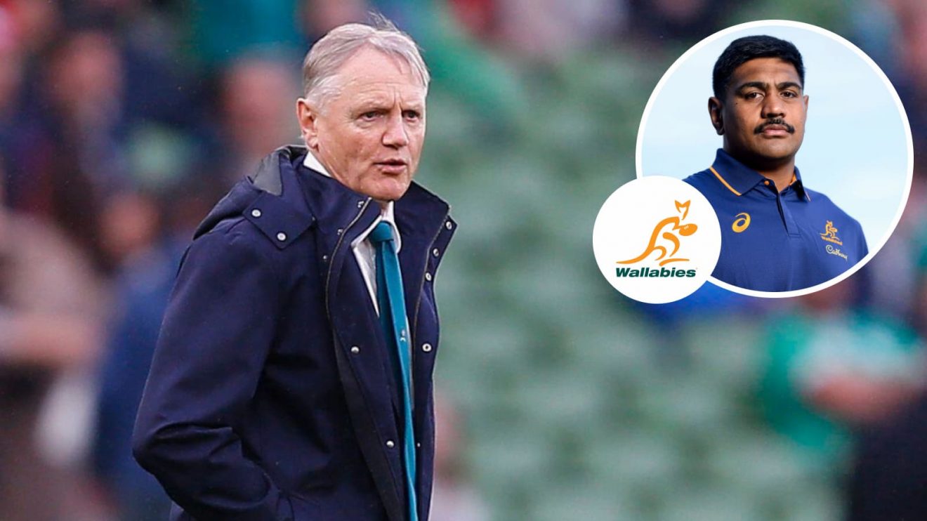 Wallabies head coach Joe Schmidt and lock forward Will Skelton (inset).