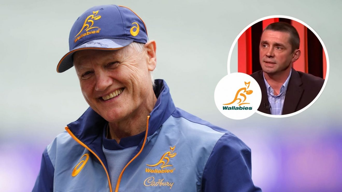 Wallabies head coach Joe Schmidt and former Ireland star Alan Quinlan.