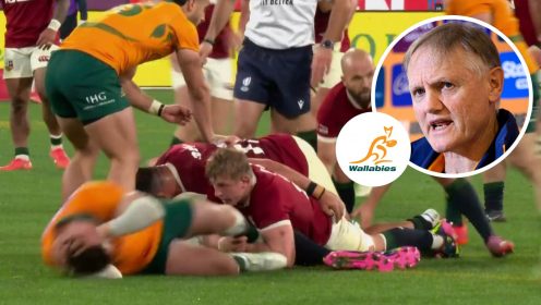Wallabies star the target of ‘online abuse’ as Joe Schmidt rubbishes Carlo Tizzano ‘diving’ accusations