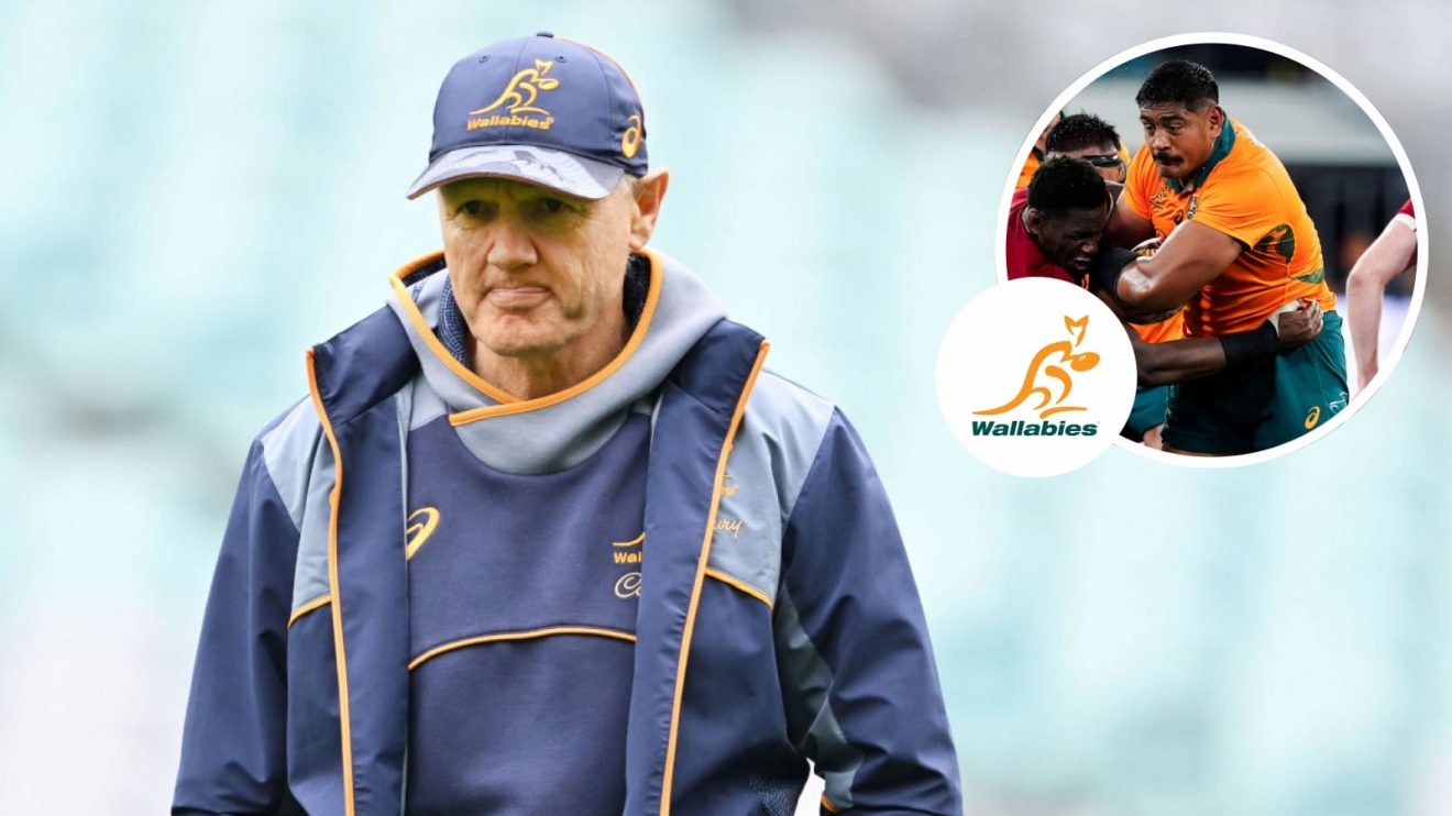 Wallabies head coach Joe Schmidt and lock forward Will Skelton (inset) in action against the British and Irish Lions.