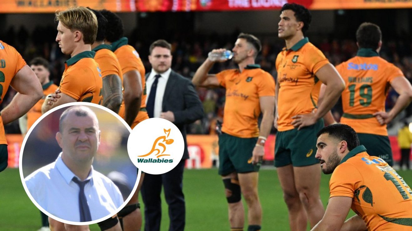 Michael Cheika and Wallabies players photo