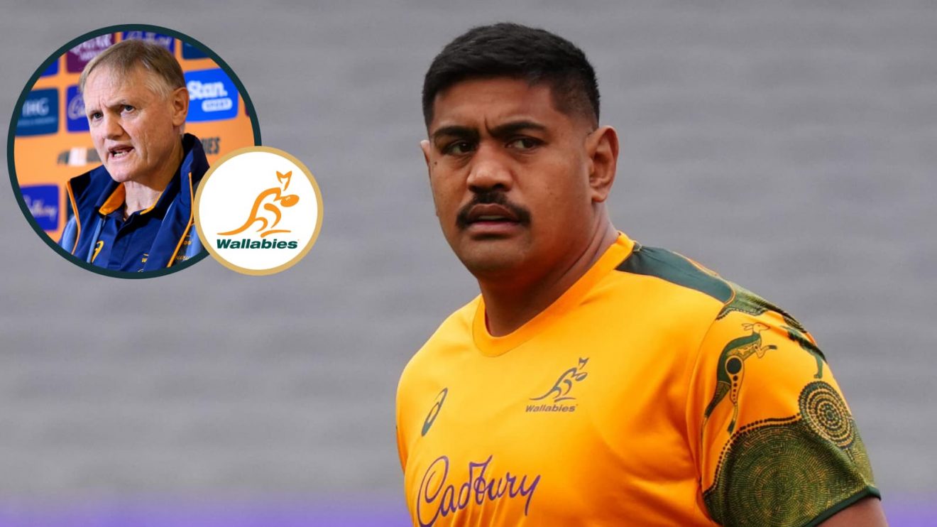 Wallabies lock Will Skelton and an inset of head coach Joe Schmidt.