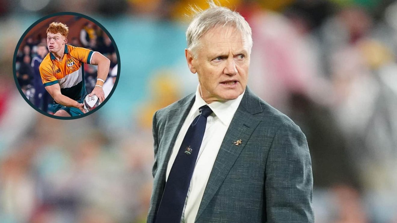 Wallabies boss Joe Schmidt and an inset of fly-half Tane Edmed.