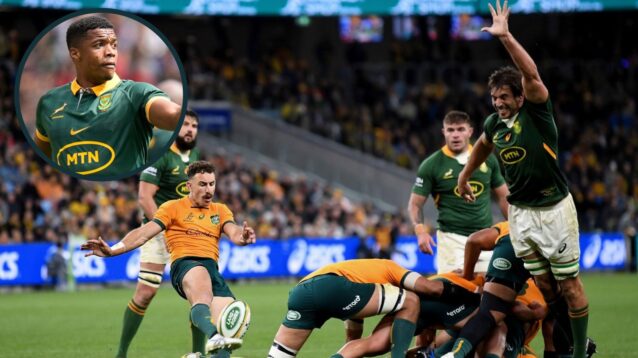 Nic White singles out two Springboks for special praise after recent Rugby Championship Tests