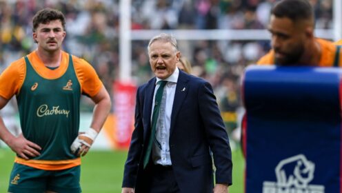 Matt Williams: The ‘absolutely crucial aspect’ that has transformed the Wallabies and turned ‘Joseph O’Schmidt’ into ‘Wallaby Joe’