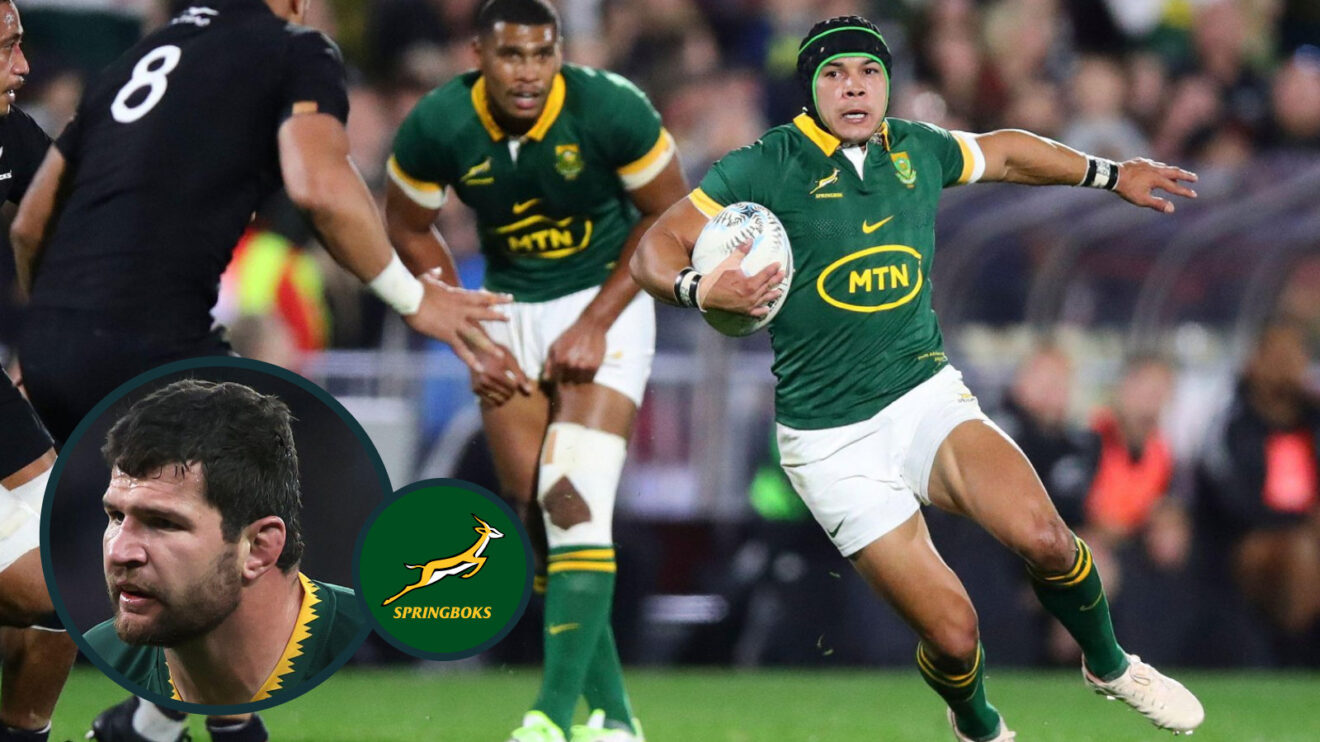 Marco van Staden and Cheslin Kolbe image.jpg