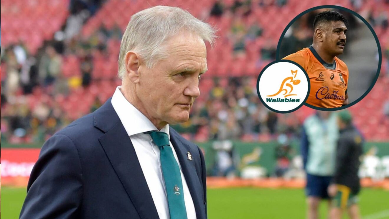 Wallabies head coach Joe Schmidt and second-row Will Skelton (inset).