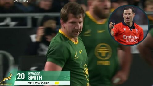 Springboks legend: ‘The biggest games need the best referee, and we didn’t get it’