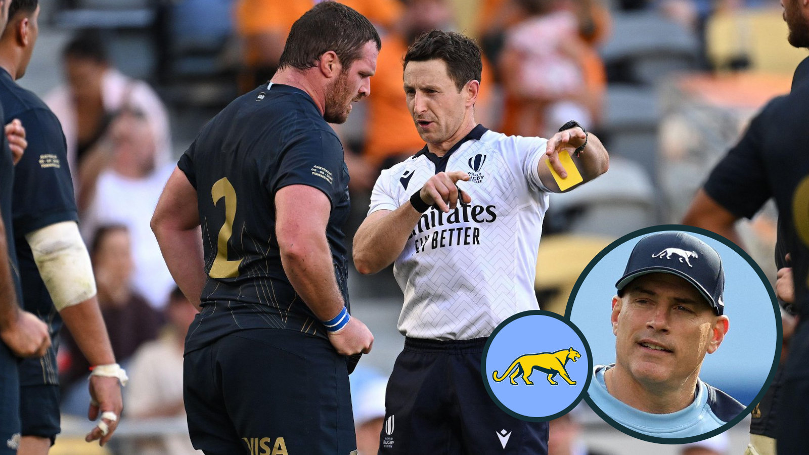 A surprising duo emerges