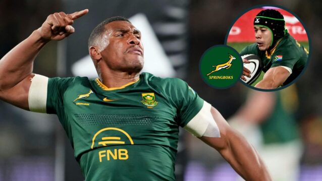 Springboks player ratings: ‘Perfect’ Damian Willemse and Bomb Squad as Cheslin Kolbe’s all-timer halted by ‘thuggish act’