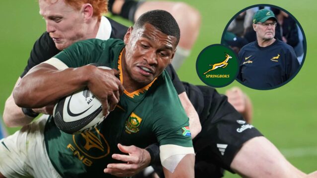 Opinion: Rassie Erasmus’ plan to ‘unleash’ confidence-lacking Damian Willemse pays massive dividends