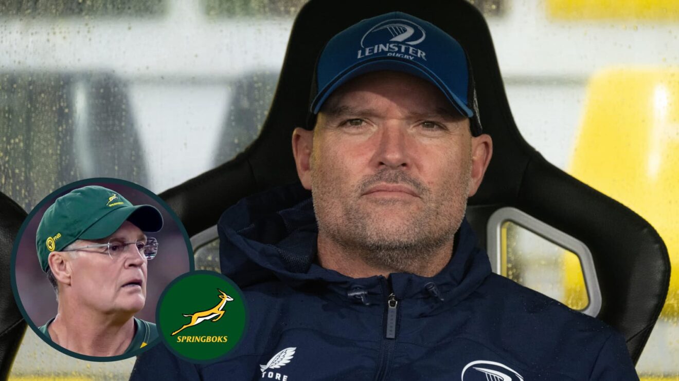 Jacques Nienaber Springboks Leinster