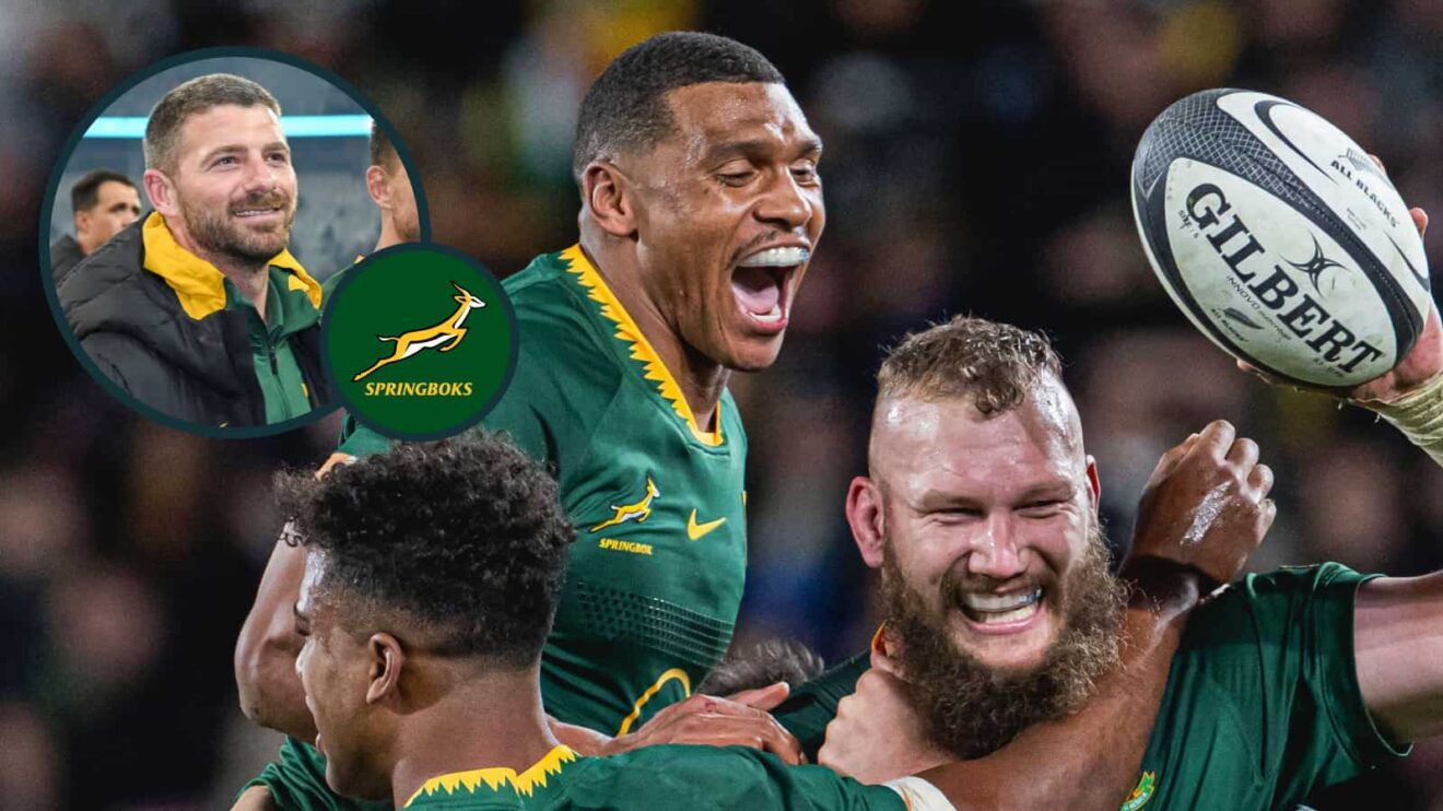 RG Snyman and Damian Willemse celebrate a try against the All Blacks and an inset of Willie Le Roux.