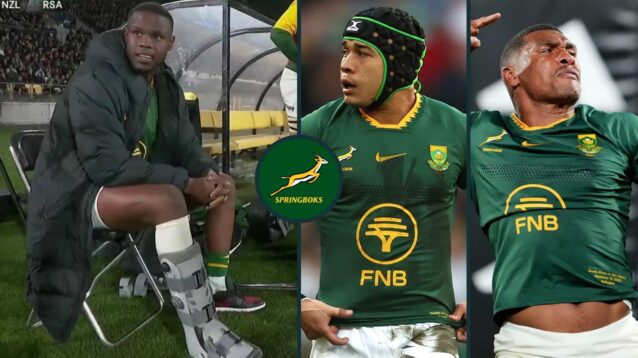 Springboks backs Aphelele Fassi, Cheslin Kolbe and Damian Willemse.