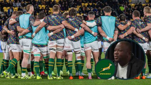Ex-Springbok’s brash assessment of Rassie Erasmus’ side who have ‘gapped’ the rest of the world