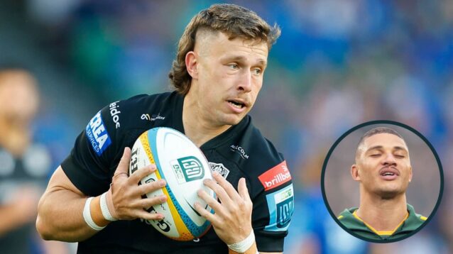 Kyle Rowe and Edwill van der Merwe impressed for Glasgow Warriors and the Sharks respectively.