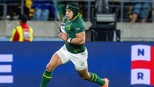 Springboks v Argentina: Result, match details, stats, line-ups