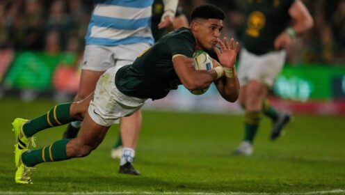 Sacha Feinberg-Mngomezulu the hero as Springboks cruise to emphatic triumph over Argentina