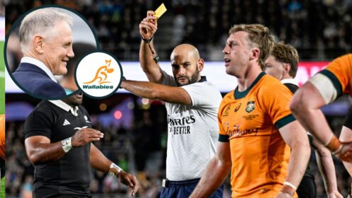 Joe Schmidt takes issue with what ‘really hurt’ the Wallabies despite being ‘proud of the way we stayed in the fight’