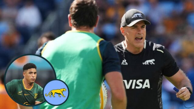 Felipe Contepomi issues ‘rugby fan’ verdict on Sacha Feinberg-Mngomezulu and describes Argentina’s failed six-two sub tactic as ‘beauty of coaching’