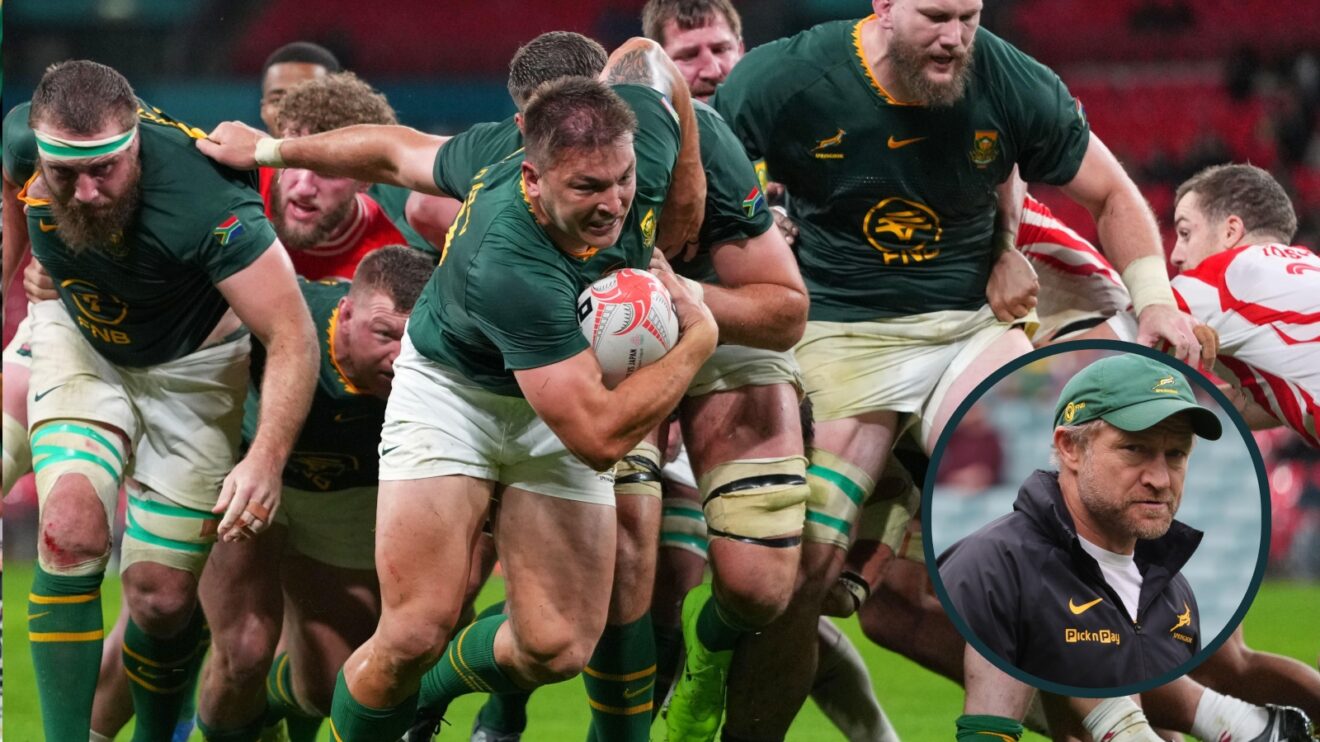 Springboks: Tony Brown hails the impact of world champions' 'one-man wrecking machine'