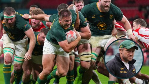 Springboks: Tony Brown hails the impact of world champions’ ‘one-man wrecking machine’