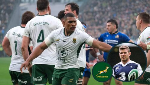 Damian Willemse in action for the Springboks last weekend in Turin and, inset, ex-Ireland player Gordon D'Arcy.