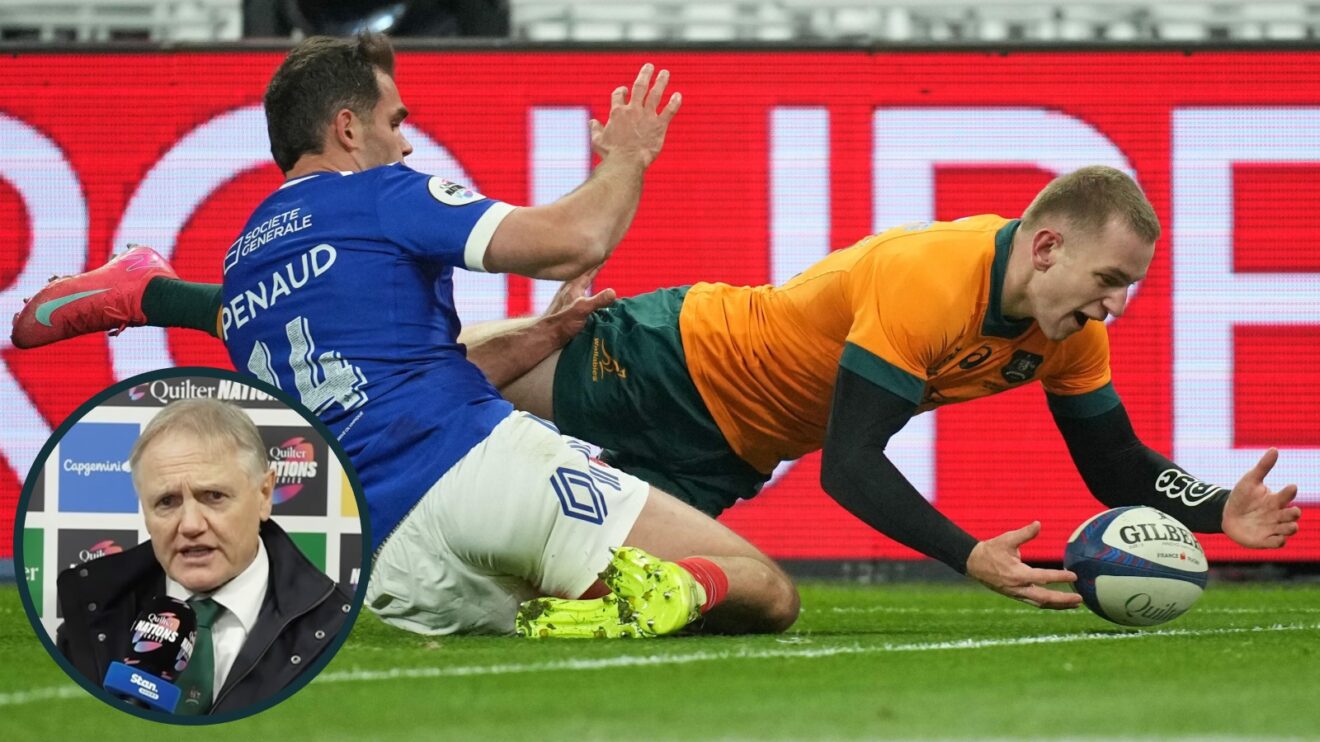 Joe Schmidt urges fans not to 'give up' on 'hurt' Wallabies after disastrous Autumn series