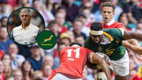 Springboks: Nick Mallett urges world champions to use their ‘usual rugby template’ against Wales