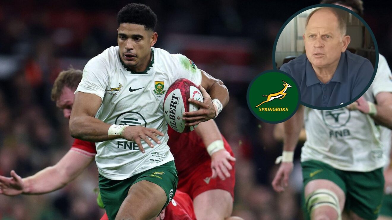 Sacha Feinberg-Mngomezulu and Naas Botha image