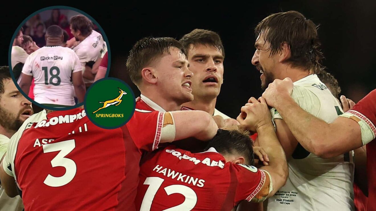 Springboks lock Eben Etzebeth involved in a scuffle during the match against Wales.